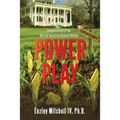 Power Play: Empowerment of the African American Student-Athlete