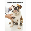 Essential Oils and Natural Remedies for Dogs: Comprehensive Guide To Keep Your Dog Healthy
