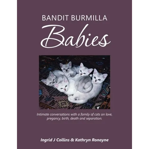 Bandit Burmilla Babies: Intimate Conversations with a Family of Cats on Love, Pregancy, Birth, Death and Separation.