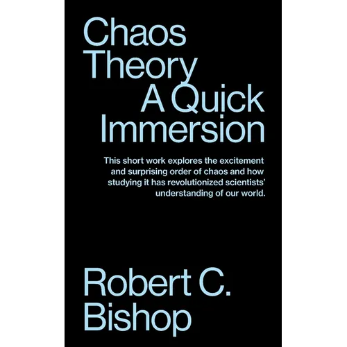 Chaos Theory: A Quick Immersion