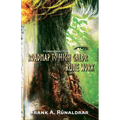 Roadmap to High Galdr Rune Work: A Consolidated Study Guide