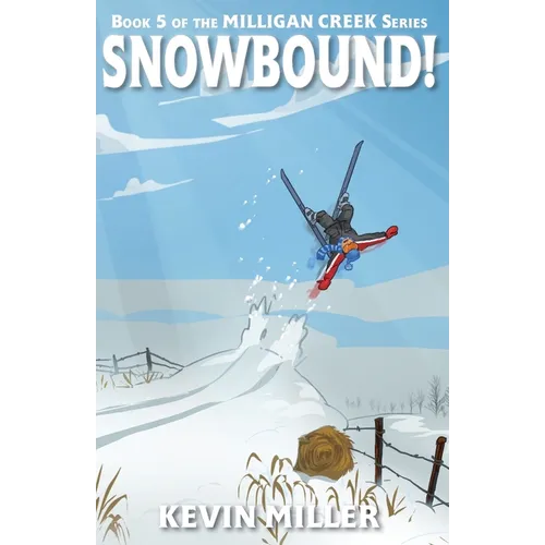Snowbound!