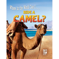 Ride a Camel?