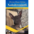 Xoloitzcuintli: Divine Dogs Online