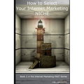 How to Select Your Internet Marketing Niche: a fundamental decision
