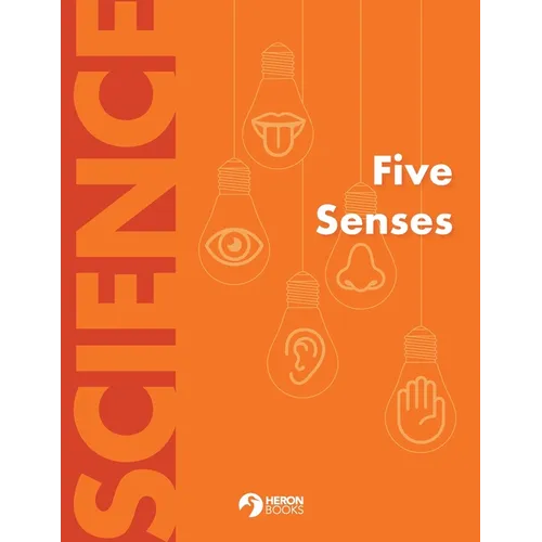 Five Senses