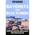Bayonets and Blue Flames: Surviving Palestine, North Africa, Crete and Stalag IVB