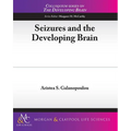 Seizures and the Developing Brain