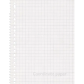 Coordinate paper: Quad Rule graph paper,8.5 x 11 (5x5 graph paper) 100 pages