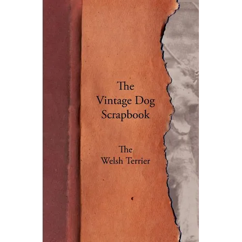 The Vintage Dog Scrapbook - The Welsh Terrier