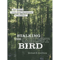 Stalking the Ghost Bird: The Elusive Ivory-Billed Woodpecker in Louisiana