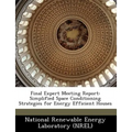 Final Expert Meeting Report: Simplified Space Conditioning Strategies for Energy Efficient Houses