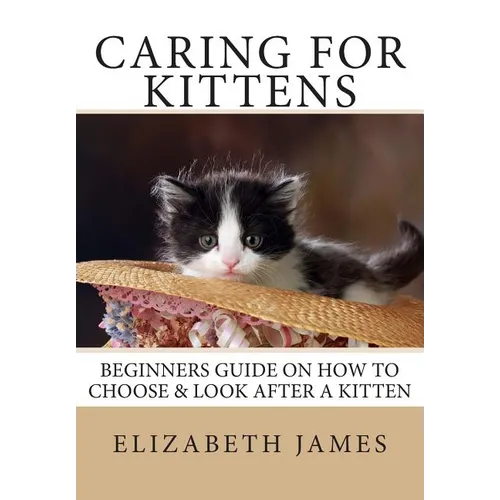 Caring for Kittens: Beginners Guide on How to look after a Kitten