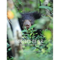 Sloth Bear: The Barefoot Bear of Sri Lanka