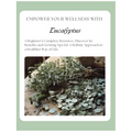 Empower Your Wellness - Eucalyptus: A Beginner's Complete Resource - from Seed to Remedy Without the Overwhelm