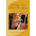 Will You Ever Meet Me Again