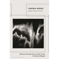 Carceral Worlds: Legacies, Textures and Futures