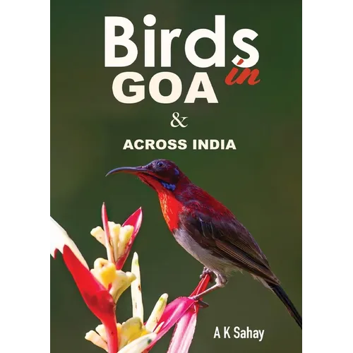 Birds in Goa & Across India