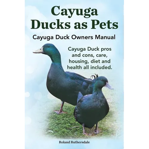 Cayuga Ducks as Pets. Cayuga Duck Owners Manual. Cayuga Duck Pros and Cons, Care, Housing, Diet and Health All Included.