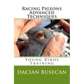 Racing Pigeons Advanced Techniques: Young Birds Training