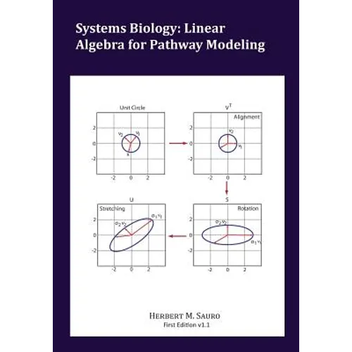 Systems Biology: Linear Algebra for Pathway Modeling