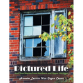 Pictured Life: And True Stories from Northern and Upper Michigan
