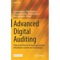 Advanced Digital Auditing: Theory and Practice of Auditing Complex Information Systems and Technologies