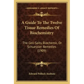 A Guide To The Twelve Tissue Remedies Of Biochemistry: The Cell-Salts, Biochemic, Or Schuessler Remedies (1909)