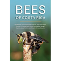 Bees of Costa Rica