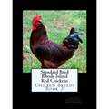 Standard Bred Rhode Island Red Chickens