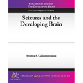 Seizures and the Developing Brain