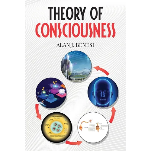 Theory of Consciousness