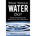 What Would Water Do?: Simple Strategies for Navigating Life's Obstacles
