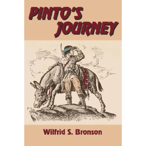 Pinto's Journey