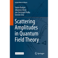 Scattering Amplitudes in Quantum Field Theory