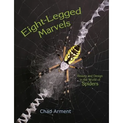 Eight-Legged Marvels: Beauty and Design in the World of Spiders