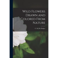 Wild Flowers Drawn and Colored From Nature