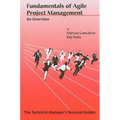 Fundamentals of Agile Project Management: An Overview