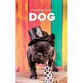 Address Book Dog