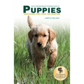 Your Comprehensive Training Guide to PUPPIES: Surviving the First Six Months