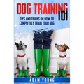 Dog Training 101: Tips and Tricks on How to Completely Train Your Dog