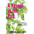 A Kernel in the Pod