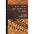 Report on the Fossil Plants of Illinois