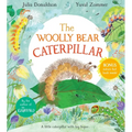 The Woolly Bear Caterpillar