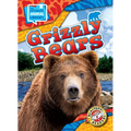 Grizzly Bears