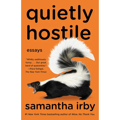 Quietly Hostile: Essays