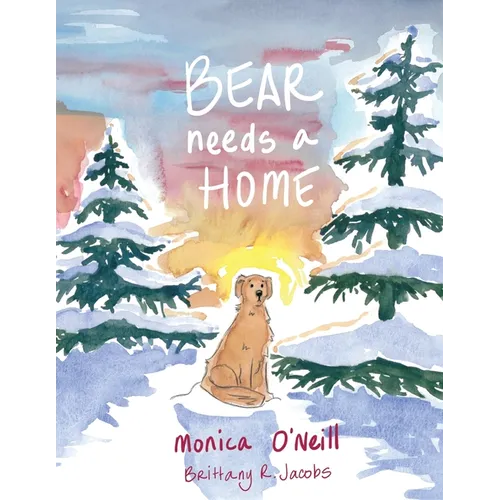 Bear Needs A Home