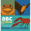 Abc@mnp