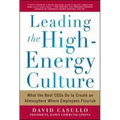 Leading the High Energy Culture: What the Best Ceos Do to Create an Atmosphere Where Employees Flourish