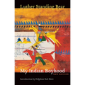 My Indian Boyhood